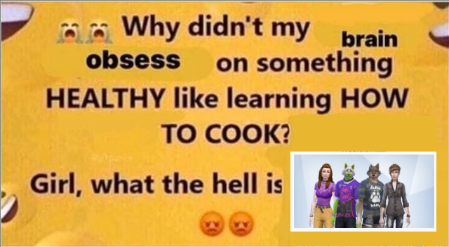 the why didn't my brain obsess on something healthy like learning how to cook meme with a screenshot of the 3000 household at the bottom of the image