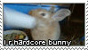 hardcore bunny